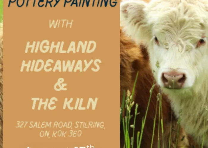 Highland Cow in field, event details